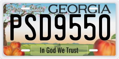 GA license plate PSD9550