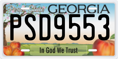 GA license plate PSD9553