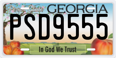 GA license plate PSD9555