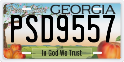 GA license plate PSD9557