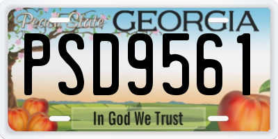 GA license plate PSD9561