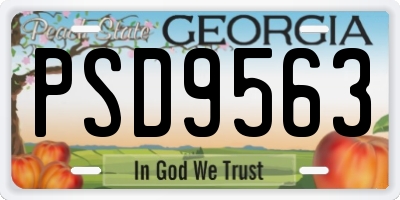 GA license plate PSD9563