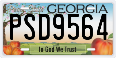 GA license plate PSD9564