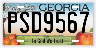 GA license plate PSD9567