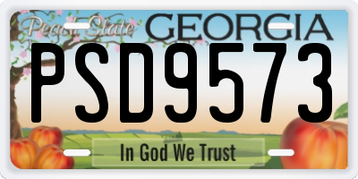 GA license plate PSD9573
