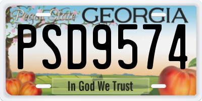 GA license plate PSD9574