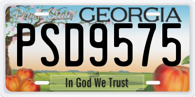 GA license plate PSD9575