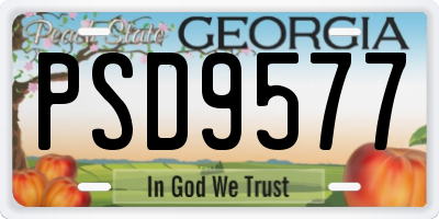 GA license plate PSD9577