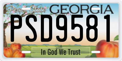 GA license plate PSD9581