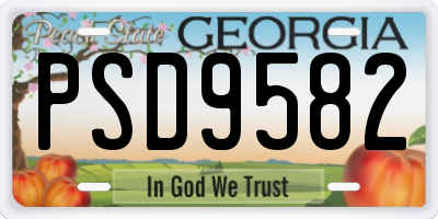 GA license plate PSD9582