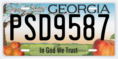 GA license plate PSD9587