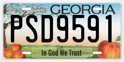 GA license plate PSD9591