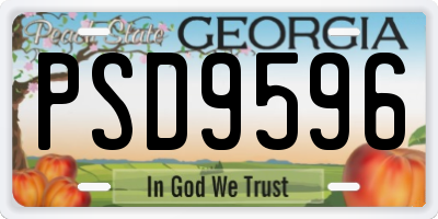 GA license plate PSD9596