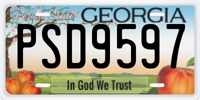 GA license plate PSD9597