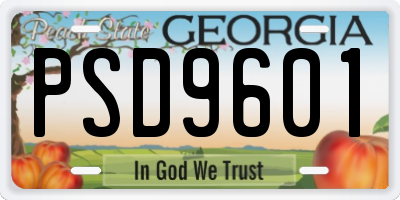 GA license plate PSD9601