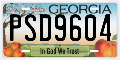 GA license plate PSD9604