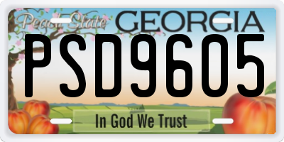 GA license plate PSD9605