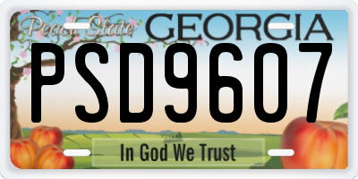 GA license plate PSD9607