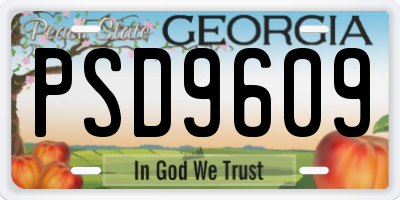 GA license plate PSD9609