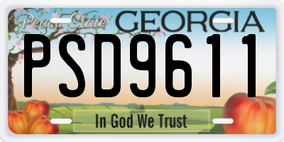 GA license plate PSD9611