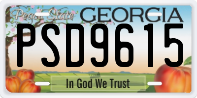 GA license plate PSD9615
