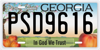 GA license plate PSD9616