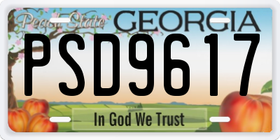 GA license plate PSD9617