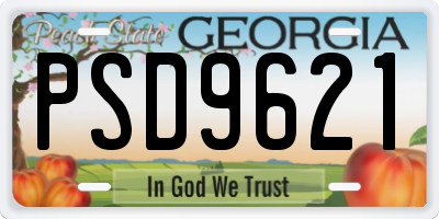 GA license plate PSD9621