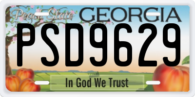 GA license plate PSD9629