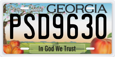 GA license plate PSD9630