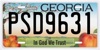 GA license plate PSD9631