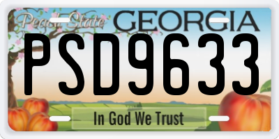 GA license plate PSD9633