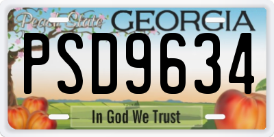 GA license plate PSD9634