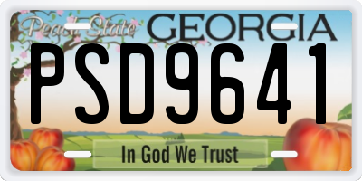 GA license plate PSD9641