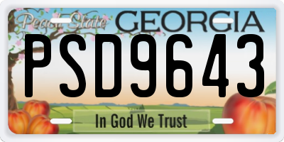 GA license plate PSD9643