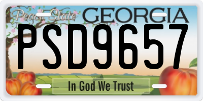 GA license plate PSD9657