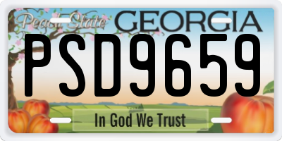 GA license plate PSD9659
