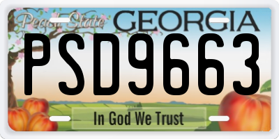 GA license plate PSD9663