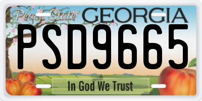 GA license plate PSD9665