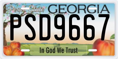 GA license plate PSD9667