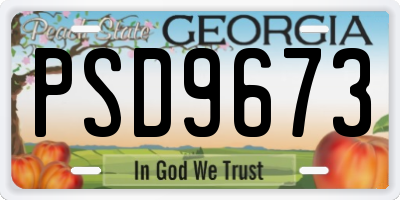 GA license plate PSD9673
