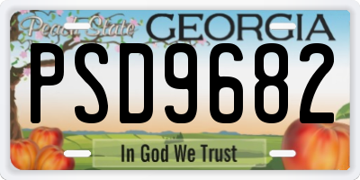 GA license plate PSD9682