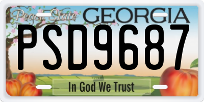 GA license plate PSD9687