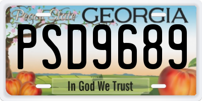 GA license plate PSD9689