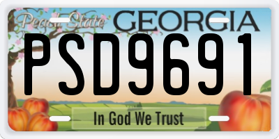 GA license plate PSD9691