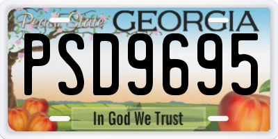 GA license plate PSD9695