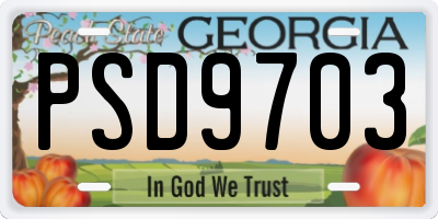 GA license plate PSD9703