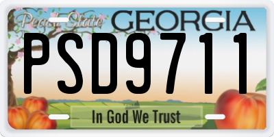 GA license plate PSD9711