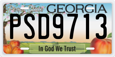 GA license plate PSD9713