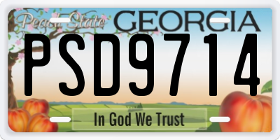 GA license plate PSD9714